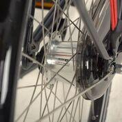 Load image into Gallery viewer, Hollandia Mimo 19