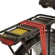 Load image into Gallery viewer, Hollandia Mimo 19