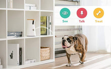 Load image into Gallery viewer, Treat Tossing, Full HD Wifi Pet Camera!
